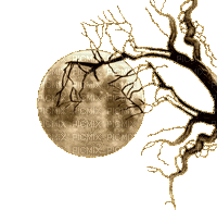 lune - 無料のアニメーション GIF