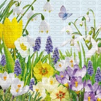 Background Spring - 免费PNG