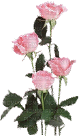 Fleurs.Roses.Pink.glitter.Victoriabea - 無料のアニメーション GIF