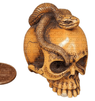 Gothic, skull - δωρεάν png