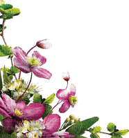 Flores del jardín - bezmaksas png