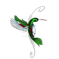 hummingbird - nemokama png