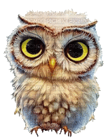nbl-owl - GIF animé gratuit