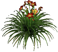 cvijeće - GIF animé gratuit