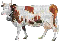 la vache - 無料のアニメーション GIF