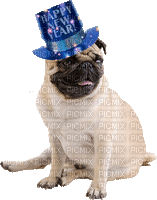 Kaz_Creations Dog Pug  Happy New Year - Бесплатный анимированный гифка