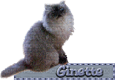 Ginette - GIF animado grátis