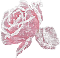Winter.Rose.Pink.snow.Victoriabea - Free PNG