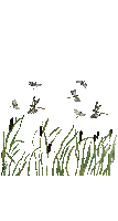 Трава - 免费动画 GIF