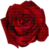 Роза - kostenlos png