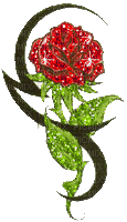 rose flower2 - Δωρεάν κινούμενο GIF