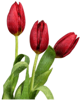 Kaz_Creations Deco Flowers Tulips Flower - bezmaksas png