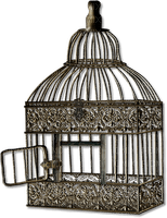 bird cage anastasia - besplatni png