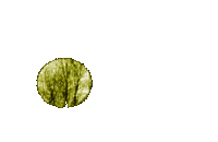 Moons, Lunar eclipse, Flares - Jitter.Bug.Girl - Gratis animerad GIF