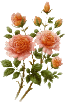 Rose_fleur_Blue DREAM 70 - 無料のアニメーション GIF