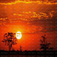 african sunset bg gif afrique coucher de soleil fond