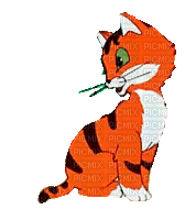 Chat.Cat.Gato.orange.Victoriabea