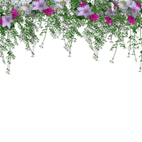 fleurs - ücretsiz png