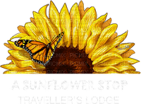 sunflowers bp - darmowe png