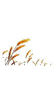 Трава - GIF animado gratis