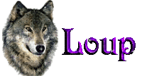 Loup - Zdarma animovaný GIF
