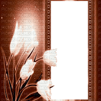 tulpen milla1959 - Darmowy animowany GIF