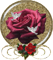 Sphere rose laurachan - GIF animado gratis