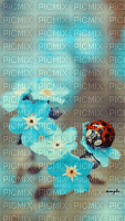 Ladybug - 無料のアニメーション GIF