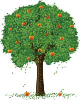 apple tree Bb2 - zadarmo png