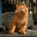 pic mix - 免费动画 GIF