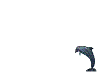 delfin saltando dubravka4 - GIF animado gratis