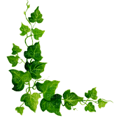 Зеленая ветка - PNG gratuit