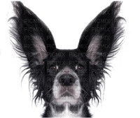 Kaz_Creations  Dog Pup - png gratis