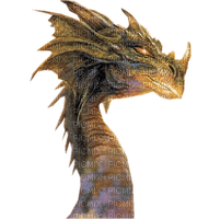 dragon - PNG gratuit