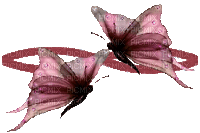 papillons - Free animated GIF