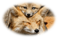patymirabelle animaux renard - gratis png