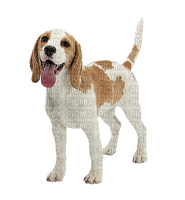 Kaz_Creations  Dog Pup - PNG gratuit