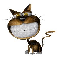Gato Riendo - GIF animate gratis