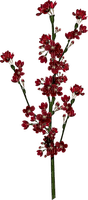 blomkvist------flower twig - gratis png