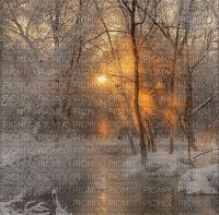 Winter Forest - Δωρεάν κινούμενο GIF