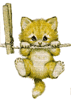 chat avec pince à linge - Gratis animeret GIF