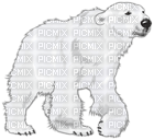 Kaz_Creations Animals Polar Bear - gratis png
