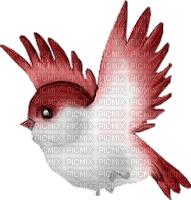Vogel Bird - zadarmo png