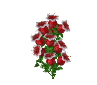 piros virág - GIF animé gratuit