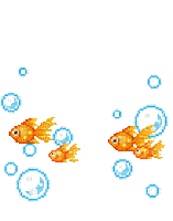 goldfish - GIF animate gratis