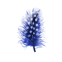 kikkapink deco scrap blue feather - PNG gratuit