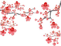 Y.A.M._Japan Spring Flowers Decor - PNG gratuit