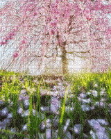 animated spring background - GIF เคลื่อนไหวฟรี