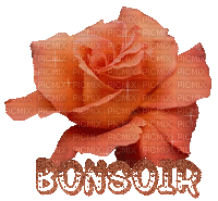 bonsoir - Bezmaksas animēts GIF
