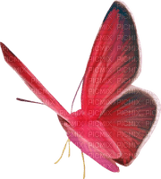 dolceluna spring pink summer butterfly - безплатен png